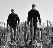 Domaine Roland Lavantureux