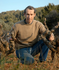 Domaine de Terrebrune