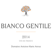 Antoine-Marie Arena