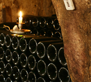 Champagne Paul Bara