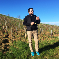Domaine de la Cadette
