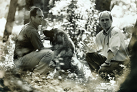 Famille Brunier