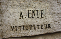 Domaine Arnaud Ente